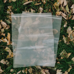Odor Resistant Storage Bags - Multiple Sizes
